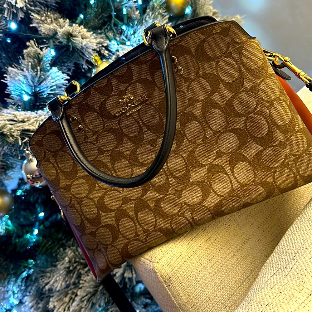Coach - 👜 
LILLIE CARRYALL IN COLORBLOCK SIGNATURE CANVAS 👜
